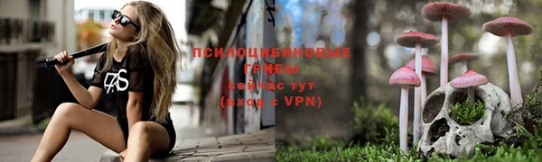 PSILOCYBIN Алзамай
