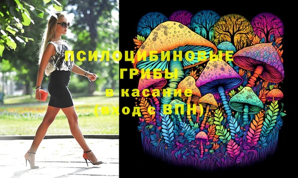PSILOCYBIN Алзамай