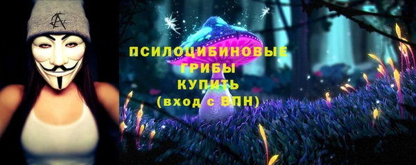 первитин Абаза