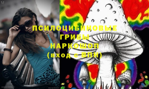 винт Алексин