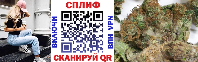Бошки Шишки MAZAR  Арсеньев 